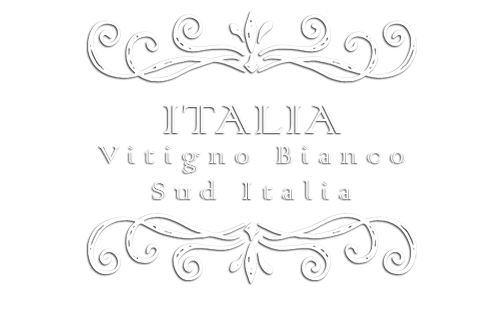 Logo camere Italia