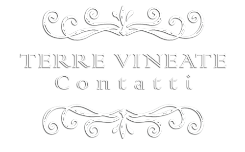 Logo dove contatti