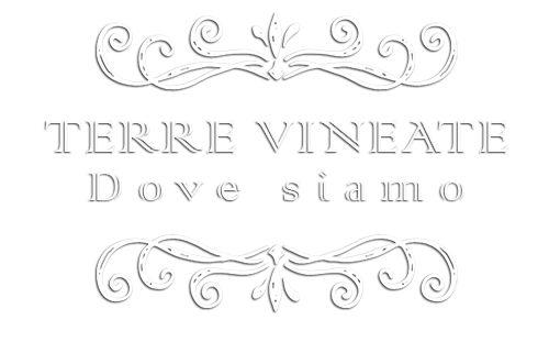 Logo dove siamo