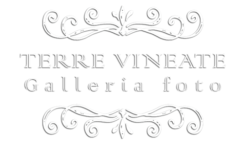 Logo galleriafoto