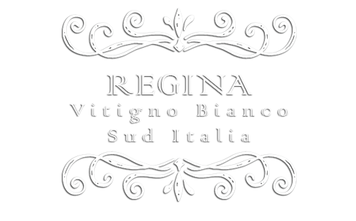 Logo camere Regina