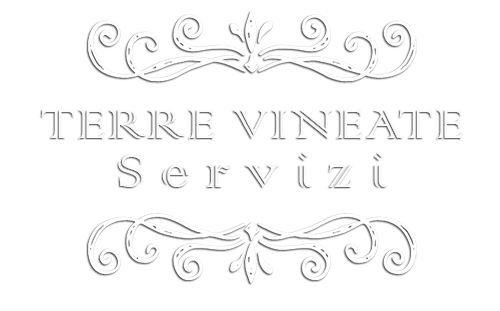 Logo servizi